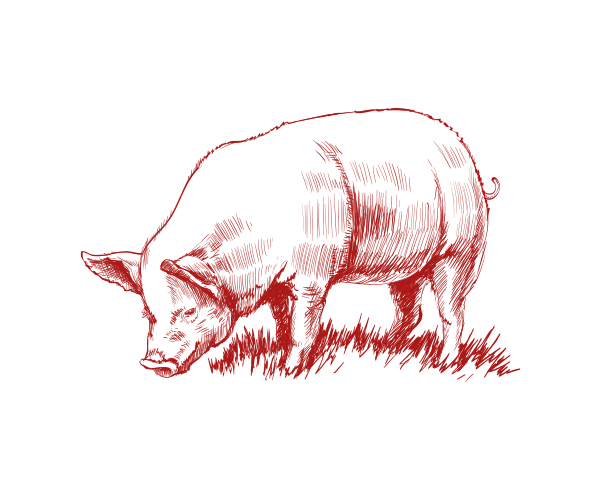 El Cochino - Restaurant Brignoles - restaurant a faire BRIGNOLES
