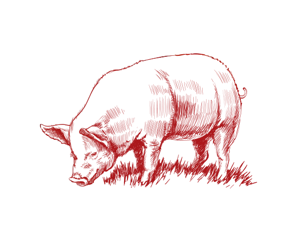 El Cochino - Restaurant Brignoles - Sortir Brignoles